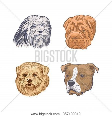 Dog Heads Collection Vector Sketch. Purebred Dog Faces Isolated On White Background.