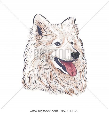 Samoyed Dog Vector Isolated. Samoyed Dog Head Panting On White Background.