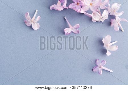 Spring Blooming Flat Lay With Purple Lilac On Blue Background. Copy Space. Top View. Spa Or Hoiday F