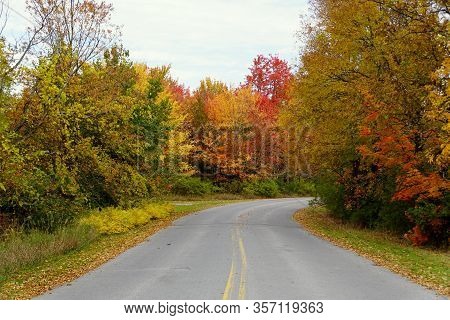 Striking Fall Foliage On The Road Near Wellesley Island State Park, New York,u.s.a