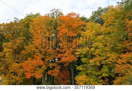 Stunning Colors Of Fall Foliage Near Wellesley Island State Park, New York, U.s.a