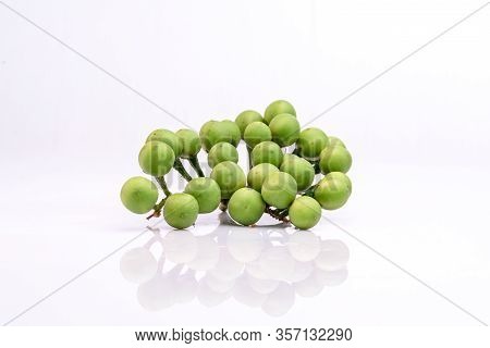 Solanum Torvum On A White Background.