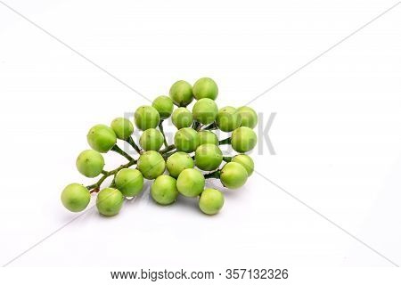 Solanum Torvum On A White Background.