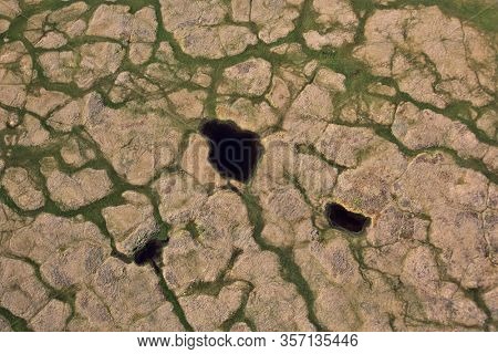 Tundra landscape in summer, Taymyr peninsula, aerial view
