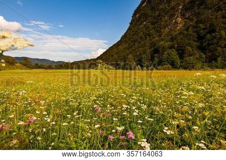 View Of Slovenian Landscape Near Bohinj. Slovenia
