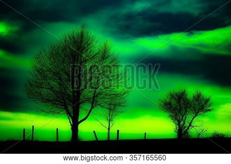 Silouette Of A Tree In The Haunting Green Mist