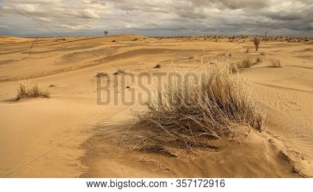 Karakum Desert At Sunset. The Landscape Of The Central Asian Desert .