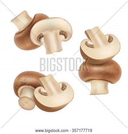 Groups Of Two 3d Realistic Champignons Isolated On White Background. Mushroom Composition Set For Fo