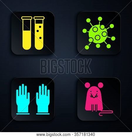 Set Rat, Test Tube And Flask Chemical Laboratory, Rubber Gloves And Bacteria. Black Square Button. V