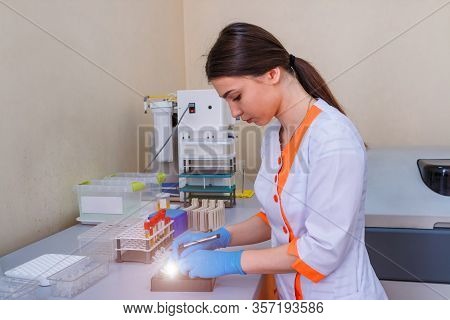 Eppendorf Tube On Plastic Rack In Laboratory. Scientific Laboratory Technician Working With Blood An