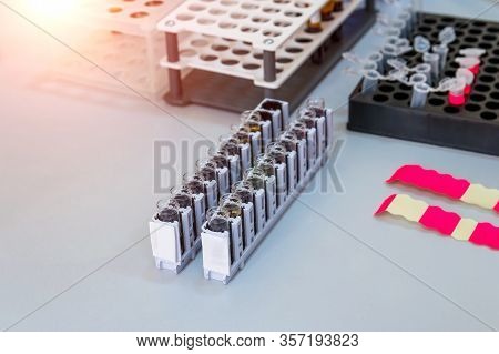 Eppendorf Tube On Plastic Rack In Laboratory.