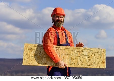 Engineered Wood Product. Assemble Temporary Equipment Or Structures. Renovation Services. Man Carry 