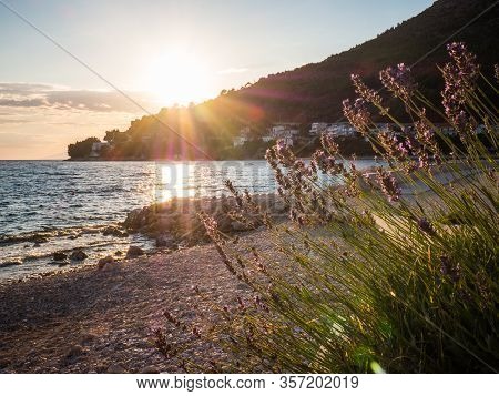 Sunset Over The Mediterranean Sea In Drvenik, Croatia And Beautiful Lavender Flowers