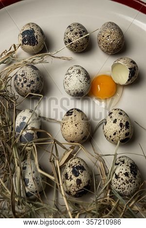 Quail Eggs And Hay On White Plate. One Egg Is Broken, The Yellow Yolk Leaked.