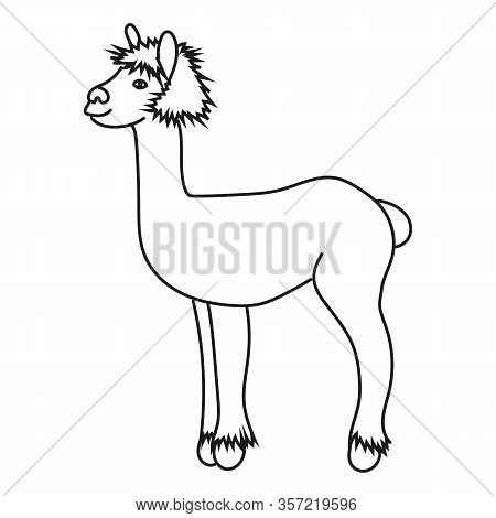 Vector Illustration Of Cute Character Stood Sideways Alpaca. Isolated Outline Cartoon Illustration.