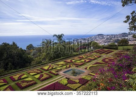 Funchal, Portugal - February 13, 2020: Detail Of Madeira Botanical Garden In Fuchal, Portugal. Garde