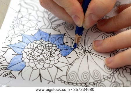 A Top Down Portrait Of A Hand Of A Person Holding A Blue Color Pencil. The Person Is Coloring An Ill