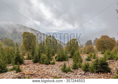 Mountain Scene On Likya Yolu Way In Turkey, Autumn Hiking