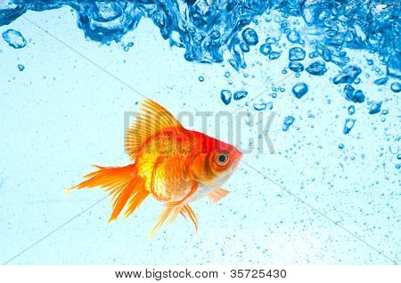 สวย splashes น้ำสะอาด