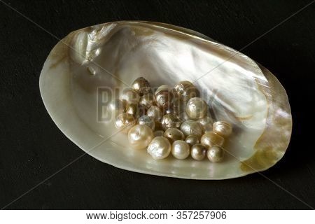 Open Sea Shell With A Pearl. Closeup Of A Sea Shell With Pearls Inside, On A Black Background. Natur
