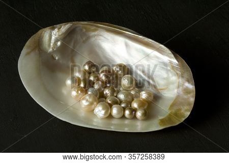 Open Sea Shell With A Pearl. Closeup Of A Sea Shell With Pearls Inside, On A Black Background. Natur