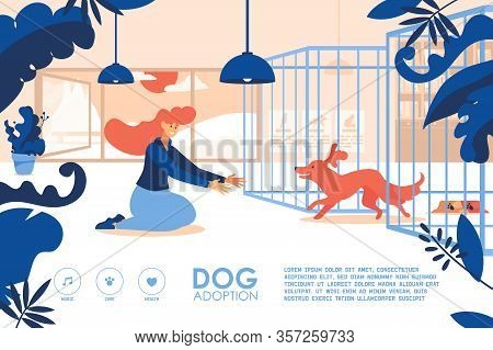 Banner For The Site With Young Girl Adopting A Dog At Shelter. Good Landing Page For Pets Home.