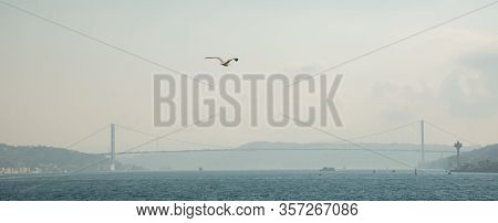 White Gull In Focus On The Background Of The City And The Bosphorus Bridge, Strait Of Bosporus. Ista