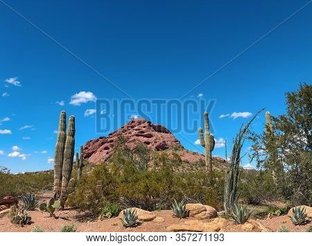 Papago Park, rock formation in Scottsdale, Phoenix, Arizona,USA.