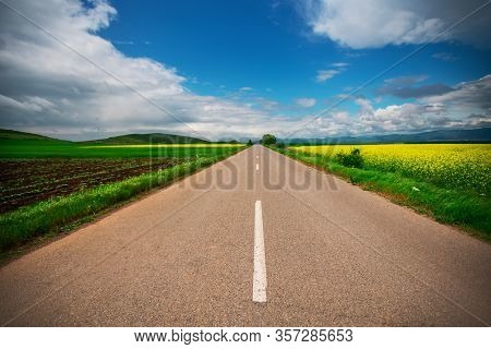 Blooming Rapseed Field In A Rural Landscape