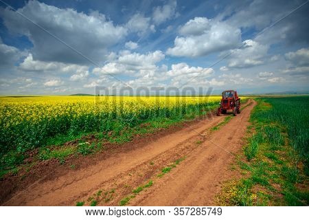Red Tractor In A Field
