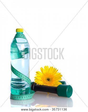 Wasser Flasche Diät-Konzept / isoliert