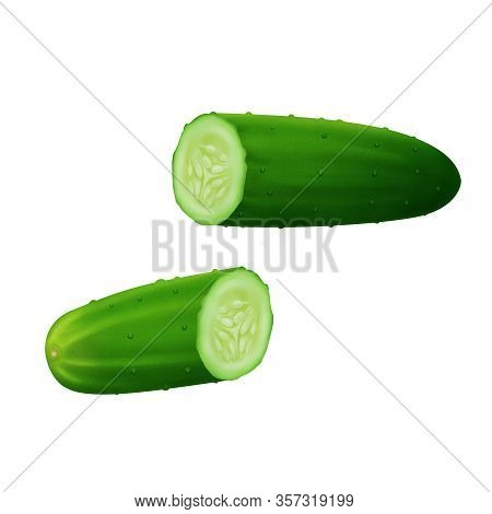Fresh Cucumber Slices, Vegetable Realistic Illustration Isolated On White Background.