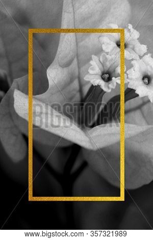 Premium Wedding Invitation Template Of Bougainvillea Flower With Golden Yellow Frame. Wedding Invita