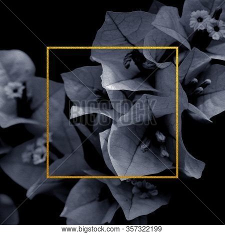 Premium Wedding Invitation Template Of Bougainvillea Flower With Golden Yellow Frame. Wedding Invita