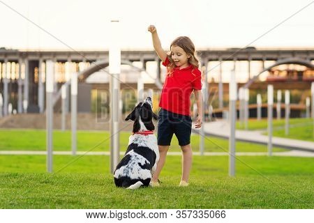 Lovely Young Girl In Red T-shirt With A Hunting Dog The Walk In The Green Grass On A Sunny Lawn. Chi