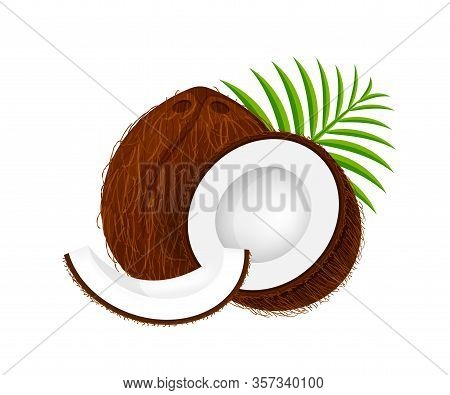 Coconut Half Slice On Leaf Green, Coconut Brown Fruit Half Cut Isolated On White, Illustration Cocon