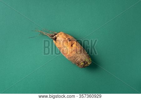 Ugly Misshapen Carrots On Green Background. Concept Of Zero Waste Production. Top View. Copy Space. 
