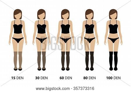 Overview Of The Opacity Of Overknee Stockings Vector Illustration Eps10