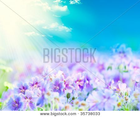 geranium kwitnienia lato