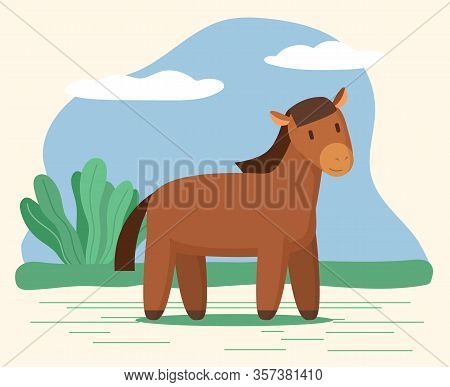 Domestic Animal, Horse Stand On Ground On Meadow. Rustic Hoss On Farm, Cute Character Look At You. V