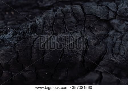 Black Burnt Wood Texture For Your Design