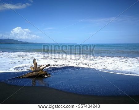 Ocean panorama with black sand and driftwood at Playa Negro, Costa Rica, Puerto Viejo