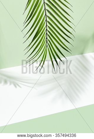 Abstract background of shadows palm leafs on green wall and white floor. Creative summer minimal mock-up. Tropical palm tree. Hipster mockup on light backdrop. Geometric background.