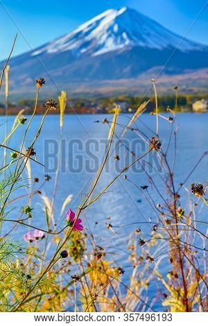 Asian Travel Destinations. Renowned  Attractive Fuji Mountain Near Kawaguchiko Lake In Japan With Li