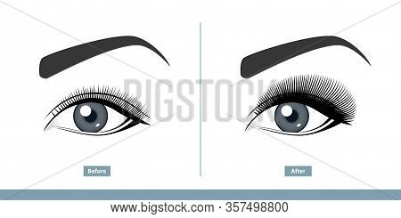 Female Eye Before And After Eyelash Extension. Comparison Of Natural Vs. Volume Eyelashes. Infograph