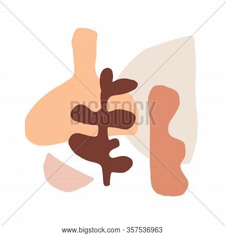Modern Abstractions Cover Template. Collage With Organic Shapes. Earthy Colors. Brochures, Posters B