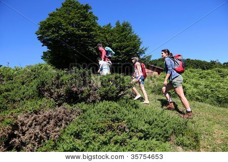 家庭在爬上小山 hikking 天
