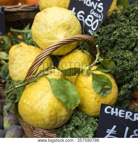 Large Lemons With Thick Peels At The Farmers Market.