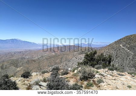 Joshua Tree National Park California In Spring