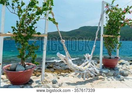 A Branch On A Rope Like A Swing On The Beach And A Green Bush In A Pot With Stones